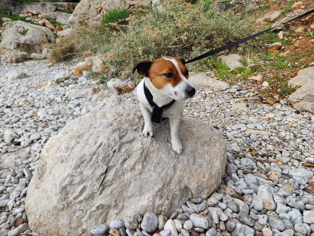 Baru na pláži Neraki