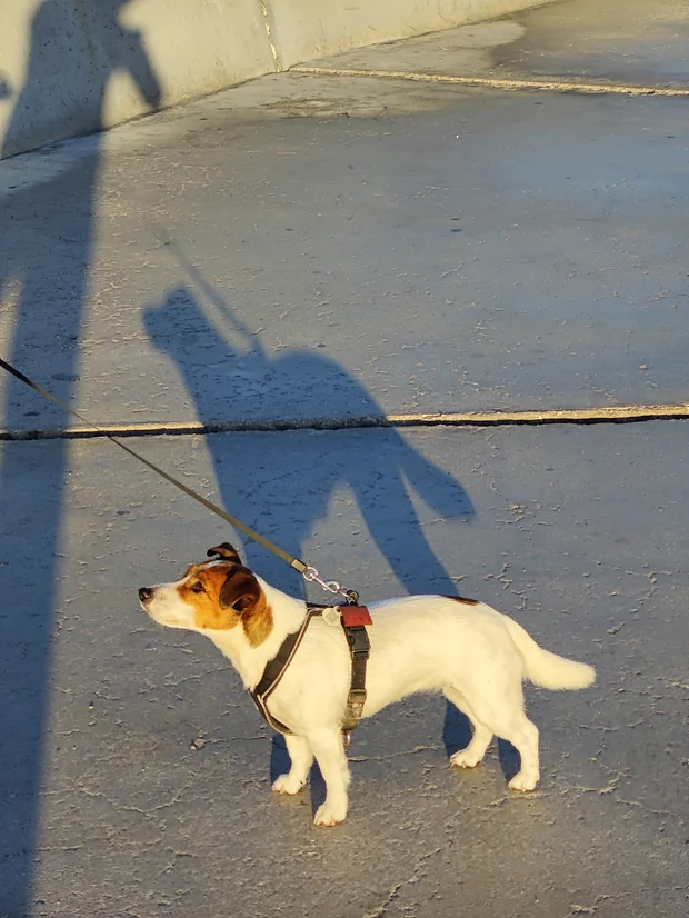 Baru malá tělem, velká duchem