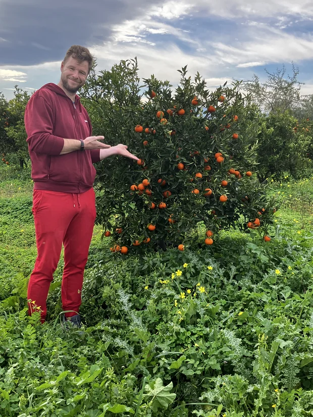 Štědrovečení mandarinkovník