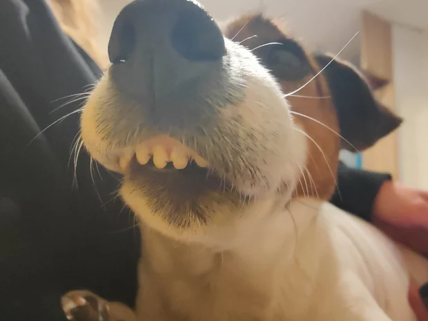 Nevím, co k tomu říct :)