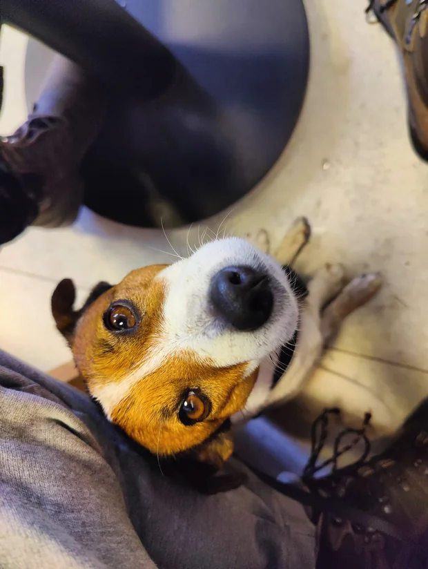 Baru chilluje v kavárně